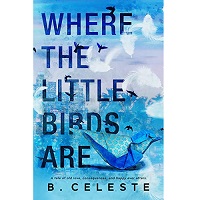 Where the Little Birds Are by B. Celeste