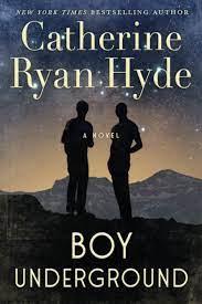 Boy Underground by Catherine Ryan Hyde ePub Download