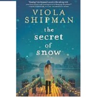 The Secret of Snow Viola Shipman