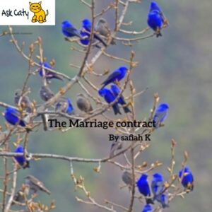 The marriage contract by Safiah Kantwela PDF Download