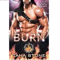 Burn by Tana Stone PDF Download