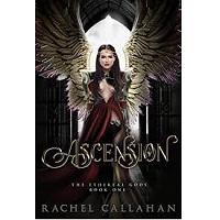 Ascension The Ethereal Gods Bo by Rachel Callahan