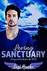 Loving Sanctuary by Susi Hawke PDF Download