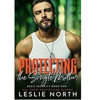 PROTECTING THE SINGLE MOTHER BY LESLIE NORTH PDF Download