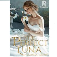 The Perfect Luna by Marissa Gilbert
