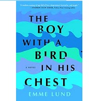 Boy with a Bird in His Chest The by Emme Lund
