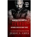 Terror by Jessica Ames PDF Download