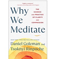 Why We Meditate by Daniel Goleman ePub Download
