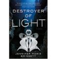 Destroyer of Light by Jennifer Marie Brissett