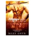 Owned by the Outcast by Riley Onyx ePub Download