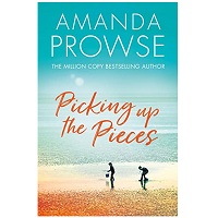 Picking up the Pieces ePub Download