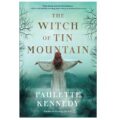 The Witch of Tin Mountain by Paulette Kennedy epub Download