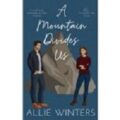 A Mountain Divides Us by Allie Winters PDF/ePub Download
